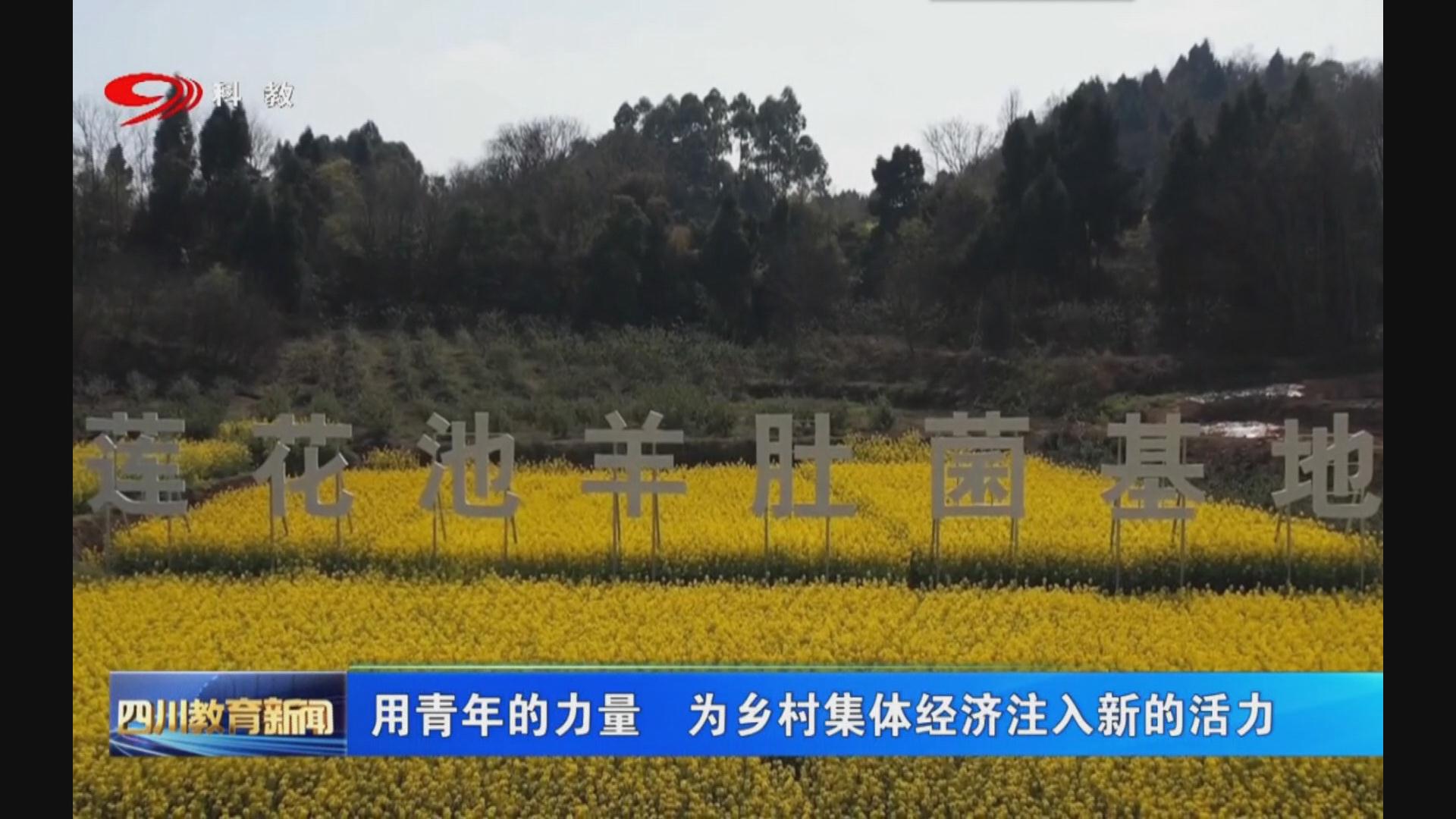 用青年的力量 为乡村集体经济注入新的活力